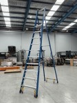 Climbrite Fibreglass Platform Ladder