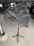 Industrial pedestal fan 800 mm