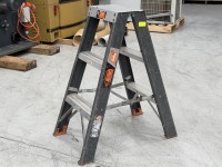 Work Step Ladder